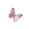 ˖ . ݁𝜗𝜚. ݁₊