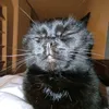 kittysss19