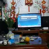 tranmau60
