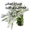 zanoubia13