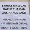 zhezzzzz
