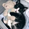 i.want.to.sleep_004
