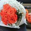 ghadasobhy30