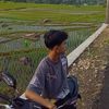 dapzxyy