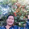 dawkhin7855