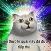 anh_3_phai
