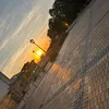 normala2.0