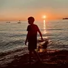 julian.szwarc63674