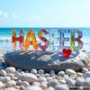 haseebullah9186