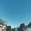 saide.gulo.mantaw