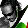 zamin.alkhain