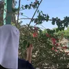 toomy_m.7