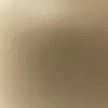 perteeeetiktok