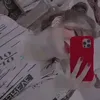 njdii2