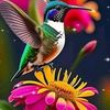 sandramendoza62