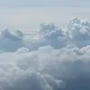 beaubeaufish2