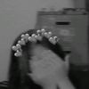 haimighrlu1