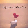 tahir54153