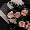 nourhan13112004