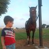 user306219432612