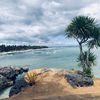 Islander06