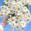 ahmedziyani04