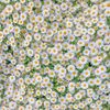 illona4974