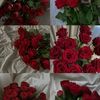 khlood.mojahed