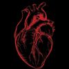 user4611193760638