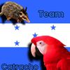 frases.chidas5579
