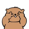 zia.zin3