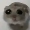 hanny_tiktok_com