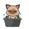 kitty_1006