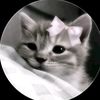 kim_sadiya_12
