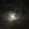 nem_0105