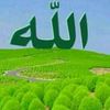 imen.6998