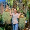 The Plant - រុក្ខជាតិលម្អ