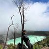 ownerpusing29