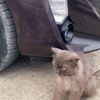 nshxx_29