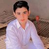 adnanhassan5846