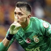 gsfanmuslera34