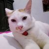 user1905174510577