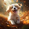 Animal Explorer