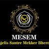 mesem3105