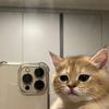 kimcase11