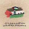 seif.naser75