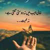 syed.aijaz.shah6