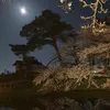 tishikawa1011