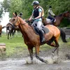 equestrianemma13