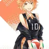 shoyohinata1234